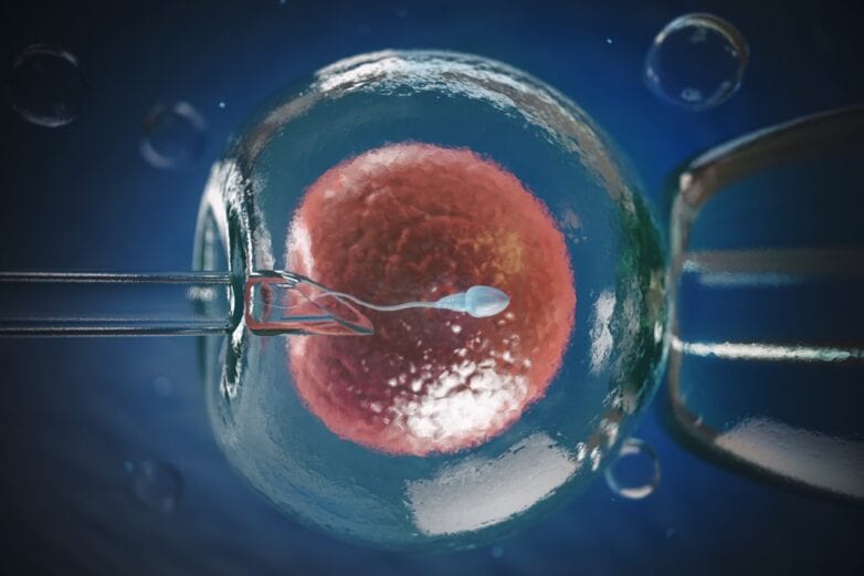 ICSI - Injeção intracitoplasmática de espermatozoide na fertilização in Vitro