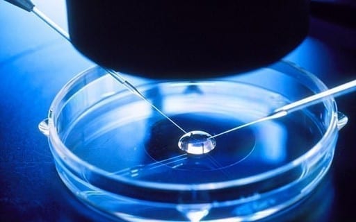 Método utilizado por Amanda Nunes, a fertilização in vitro (vidro, em latim) é realizada em cinco passos.